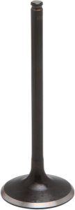 Black Diamond Engine Valve