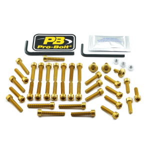 Bolt Kit Gold