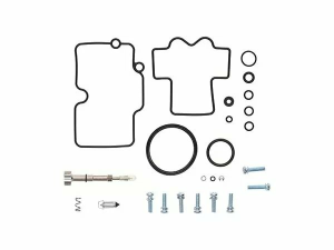 Carburator Rebuild Kit 