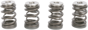 Valve Spring Kit