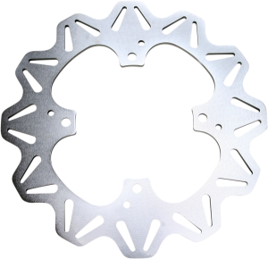 Vr Series Vee-rotor Silver, Stainless Steel, 1, nordicamoto.ro