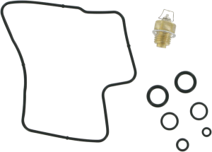 Economy Carburetor Repair Kit