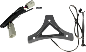 Dual Intensity Run & Brake Backrest Led Light Red, 1, nordicamoto.ro
