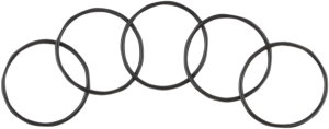 Starter O-ring