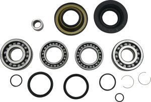 Differential Bearing-seal Kit 