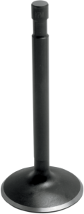Black Diamond Engine Valve