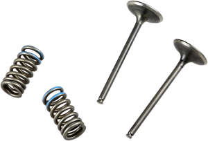 Valve And Spring Kit