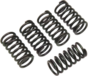 Clutch Spring Kit Black