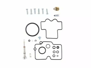Carburator Rebuild Kit 
