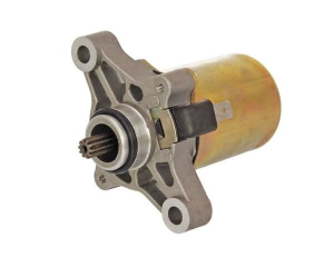 Starter Motor Silver