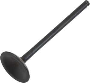 Black Diamond Engine Valve