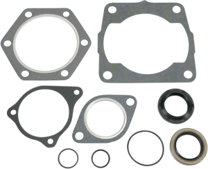 Complete Gasket And Oil Seal Kit
