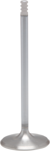 Engine Valve