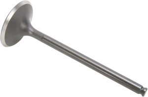 Black Diamond Engine Valve