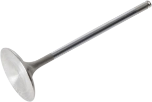 White Diamond Engine Valve Standard, 1, nordicamoto.ro