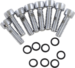 Turn Signal Lens Bolt Kit Chrome