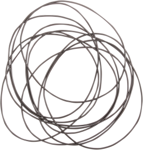 Primary O-ring