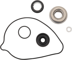 Water Pump Rebuild Kit