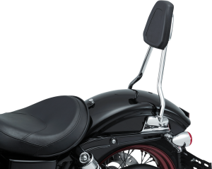 Sissy Bar Harley Davidson Black, Silver, 2, nordicamoto.ro