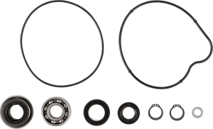 Water Pump Rebuild Kit