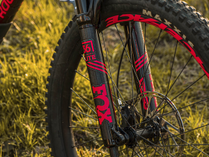 Fork Guard Clear