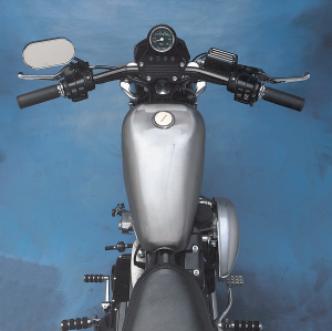 Gas Tank For Sportster Raw, 2, nordicamoto.ro