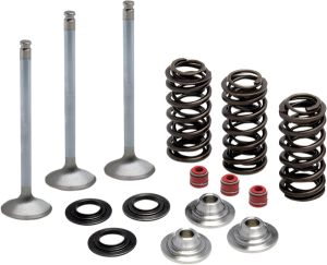 Stainless Steel Conversion Valve And Spring Kit