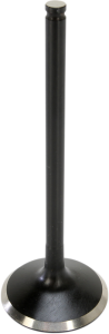 Black Diamond Engine Valve