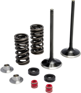 Stainless Steel Conversion Valve And Spring Kit