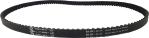 Rear Drive Belt
