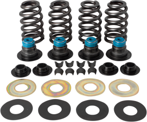 Valve Spring Kit, 1, nordicamoto.ro