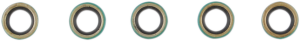 Shifter Shaft Seal