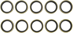 Engine Crankcase Seal