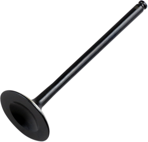 Replacement Valve Black, 1, nordicamoto.ro