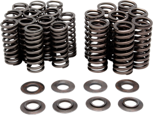 Performance Rebuild Beehive Spring Only Kit