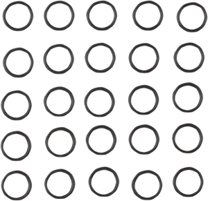 Oil Pump O-ring