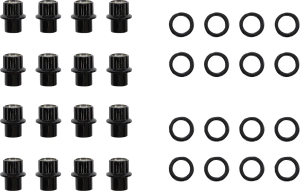 Carbon Lug Nuts Silver, 1, nordicamoto.ro