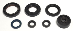 Engine Oil Seal