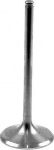 INTAKE VALVE