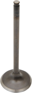 Engine Valve