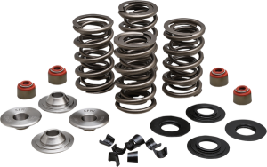 Lightweight Racing Valve Spring Kit