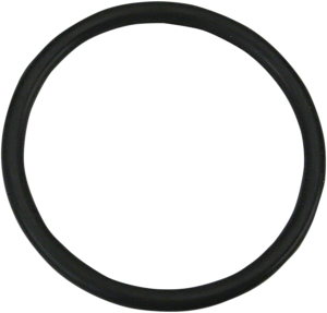 O-ring