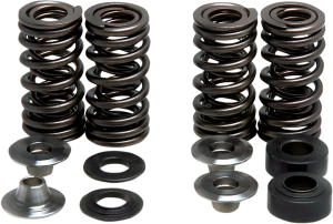 Valve Spring Kit