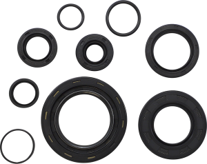 Oil Seal Kit