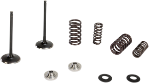 Stainless Steel Conversion Valve And Spring Kit, 1, nordicamoto.ro