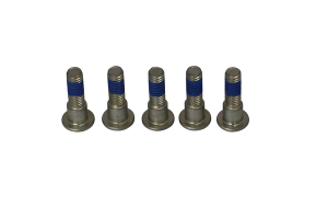 Brake Rotor Bolt Set Silver, Stainless Steel