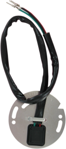 Ignition Sensor Assembly Black, Gray, 1, nordicamoto.ro