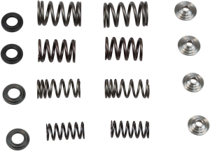 Valve Spring Kit
