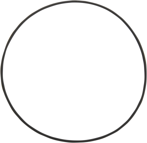 Cam Cover O-ring
