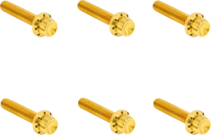 Transmission Side Cover Titanium 12-Point Bolt Kit Gold